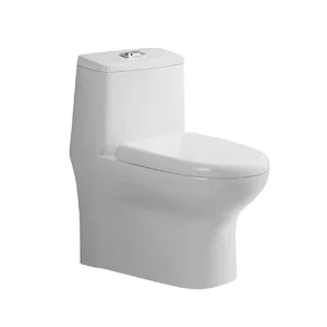 WC ONE PIECE BRIGGS ASTI